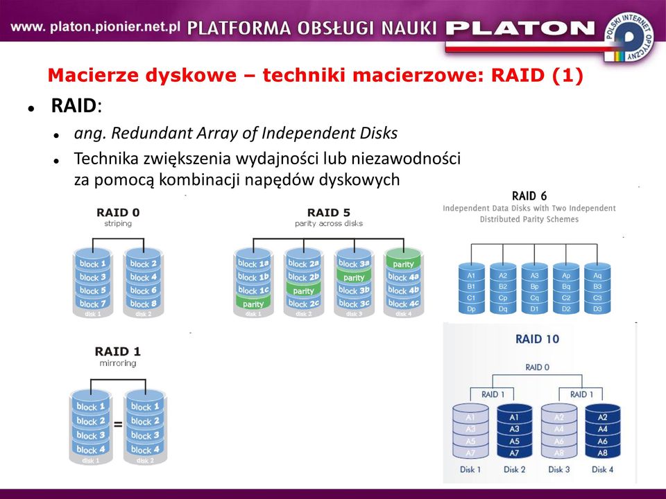 Redundant Array of Independent Disks Technika