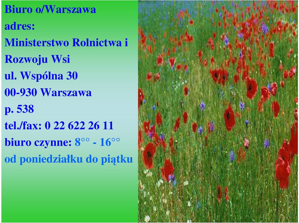 Wspólna 30 00-930 Warszawa p. 538 tel.