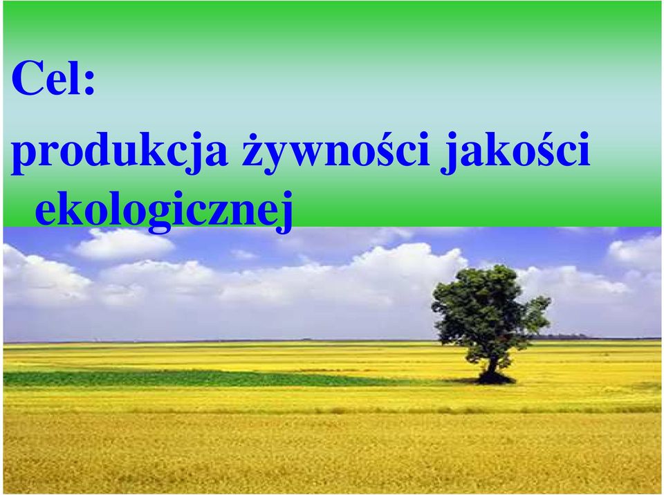 Ŝywności