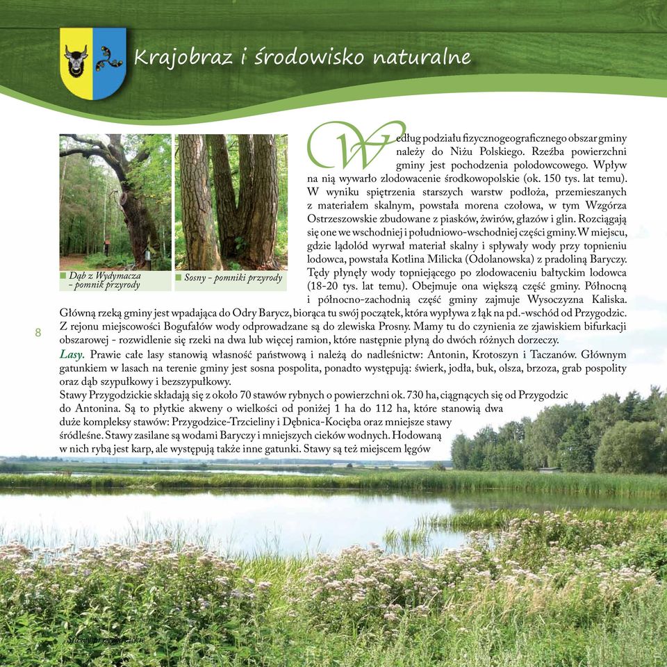 W wyniku spiętrzenia starszych warstw podłoża, przemieszanych z materiałem skalnym, powstała morena czołowa, w tym Wzgórza Ostrzeszowskie zbudowane z piasków, żwirów, głazów i glin.