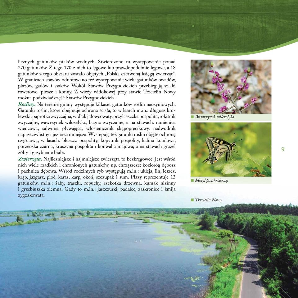 W granicach stawów odnotowano też występowanie wielu gatunków owadów, płazów, gadów i ssaków. Wokół Stawów Przygodzickich przebiegają szlaki rowerowe, piesze i konny.