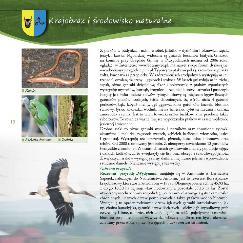 bocianyzprzygodzic.pun.pl. Typowymi ptakami pól są: skowronek, pliszka żółta, kuropatwa i przepiórka. W zadrzewieniach śródpolnych występują m.in.: trznadel, ortolan, dzierzby gąsiorek i srokosz.