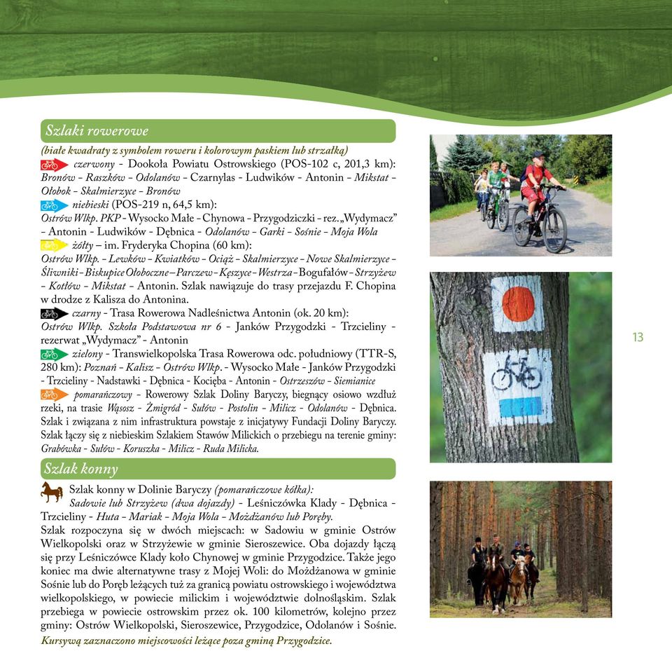 Wydymacz - Antonin - Ludwików - Dębnica - Odolanów - Garki - Sośnie - Moja Wola żółty im. Fryderyka Chopina (60 km): Ostrów Wlkp.