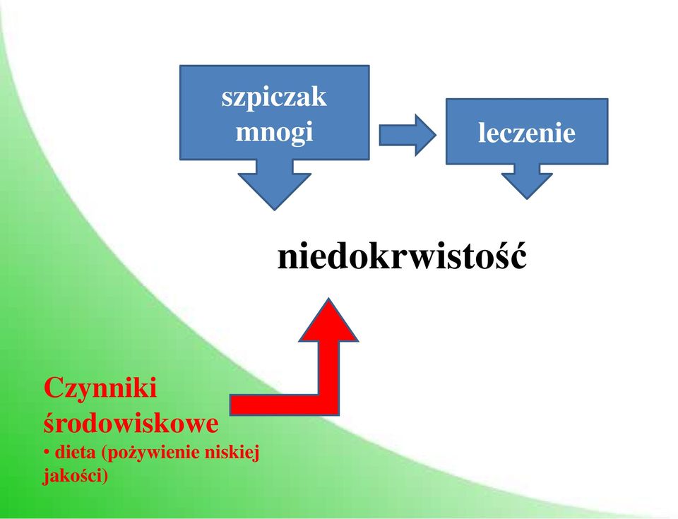 środowiskowe dieta