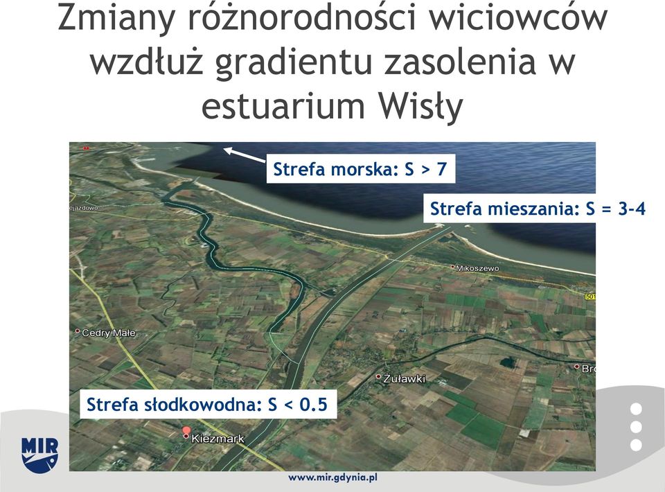 Strefa morska: S > 7 Strefa