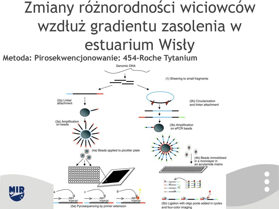 estuarium Wisły Metoda: