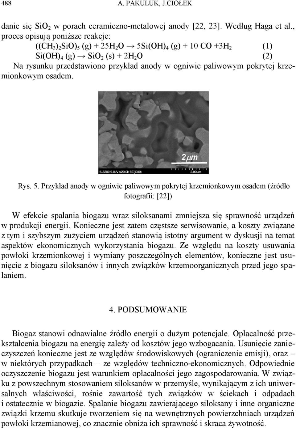 pokrytej krzemionkowym osadem. Rys. 5.