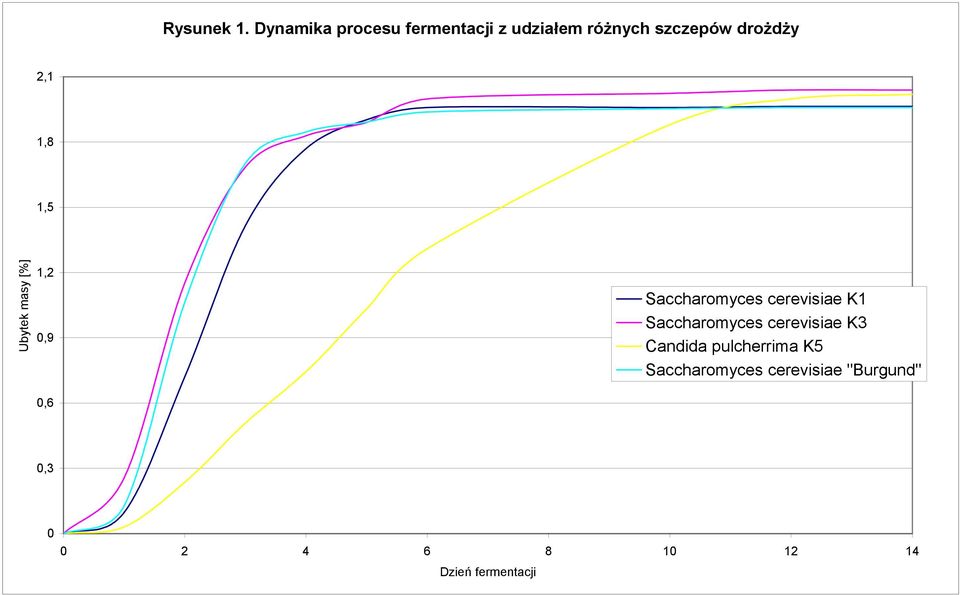 drożdży 2,1 1,8 1,5 Ubytek masy [%] 1,2 0,9 0,6