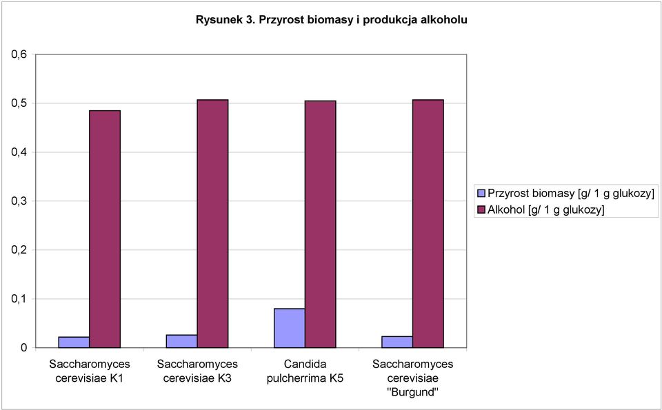 0,3 Przyrost biomasy [g/ 1 g glukozy] Alkohol [g/ 1