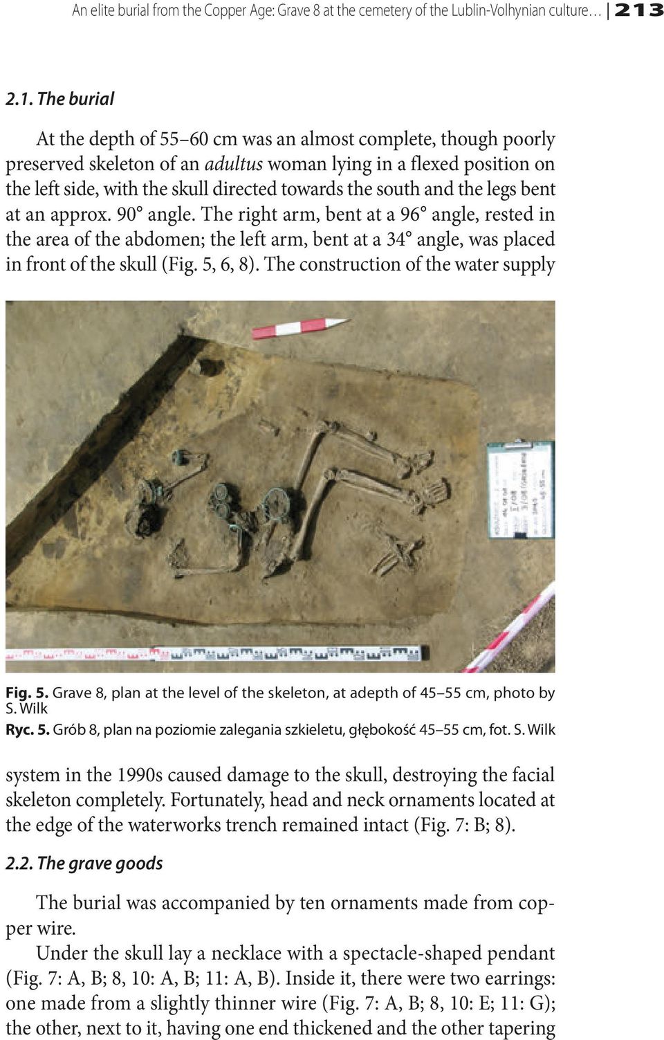 south and the legs bent at an approx. 90 angle. The right arm, bent at a 96 angle, rested in the area of the abdomen; the left arm, bent at a 34 angle, was placed in front of the skull (Fig. 5, 6, 8).