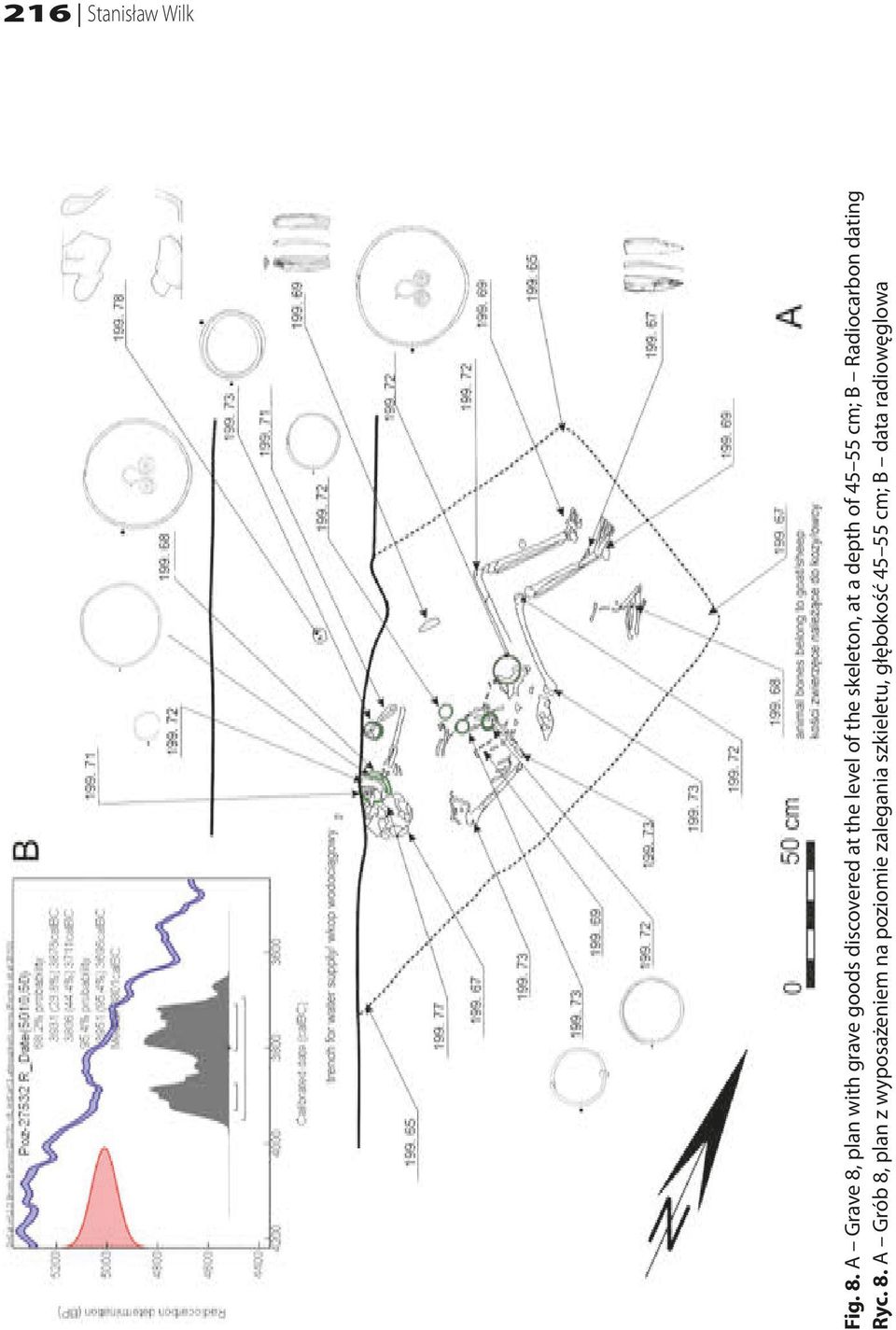 skeleton, at a depth of 45 55 cm; B Radiocarbon dating Ryc. 8.