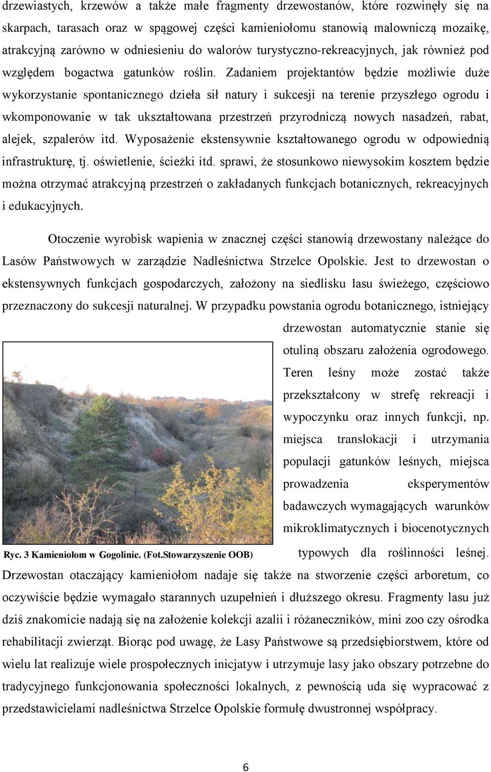 Zadaniem projektantów będzie możliwie duże wykorzystanie spontanicznego dzieła sił natury i sukcesji na terenie przyszłego ogrodu i wkomponowanie w tak ukształtowana przestrzeń przyrodniczą nowych