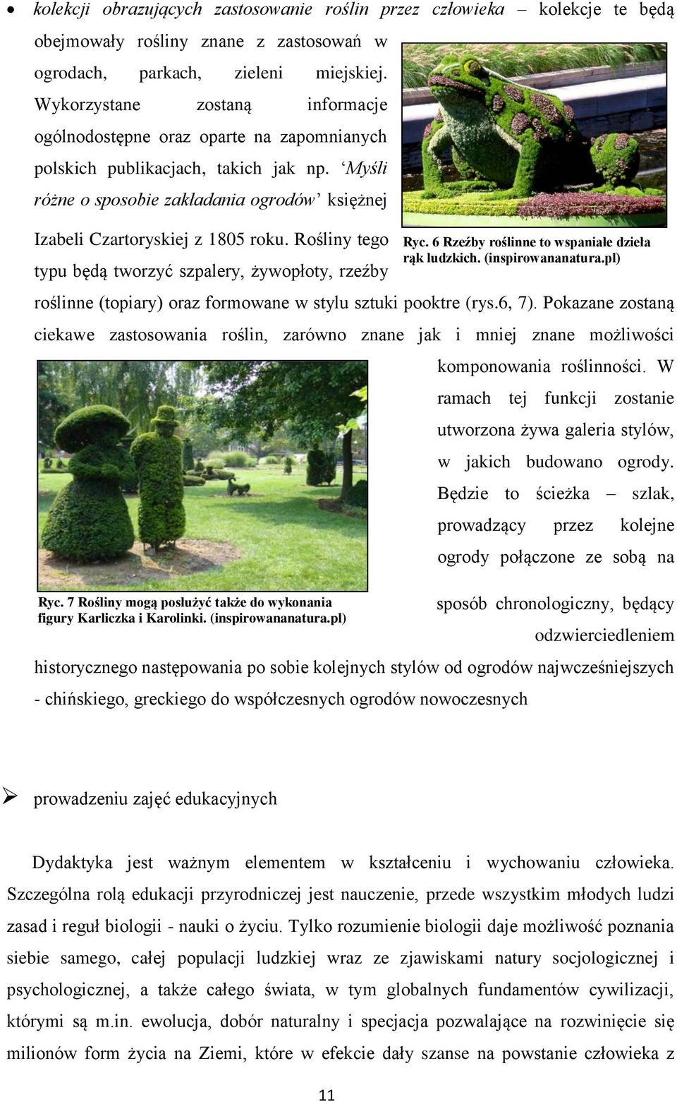 Rośliny tego typu będą tworzyć szpalery, żywopłoty, rzeźby roślinne (topiary) oraz formowane w stylu sztuki pooktre (rys.6, 7).