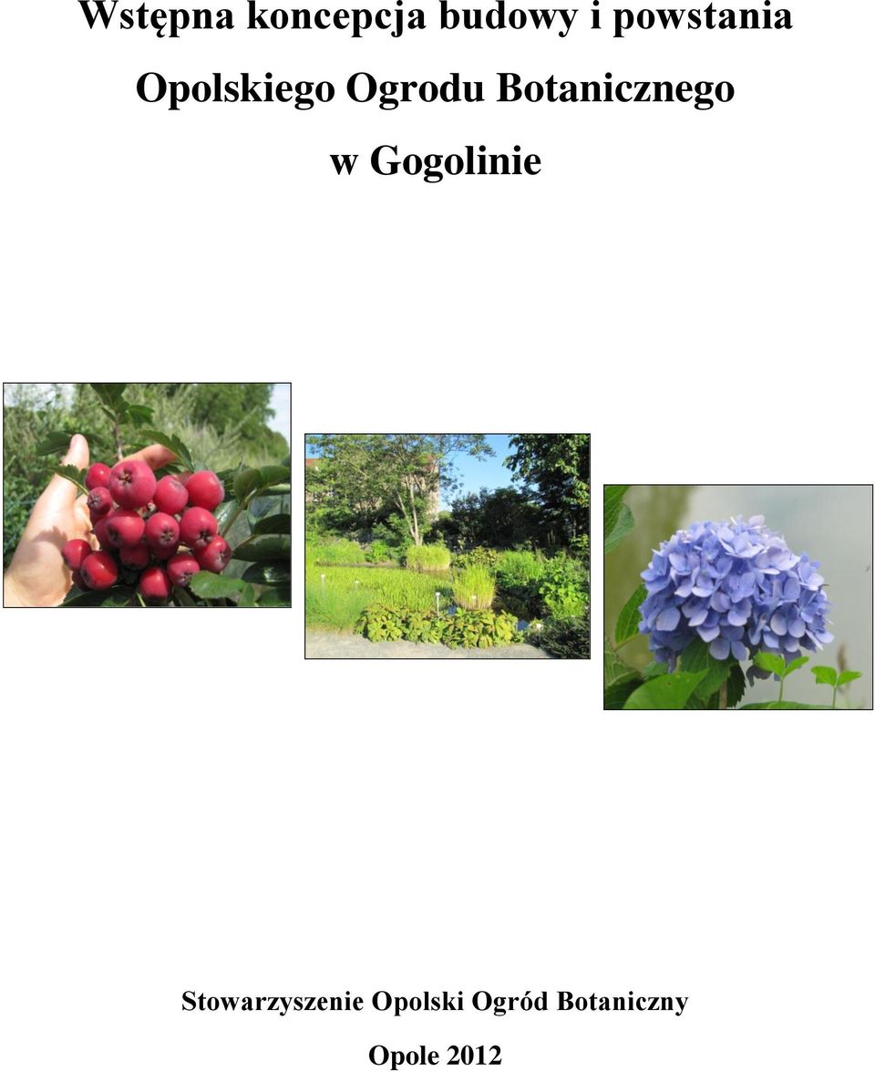 Botanicznego w Gogolinie