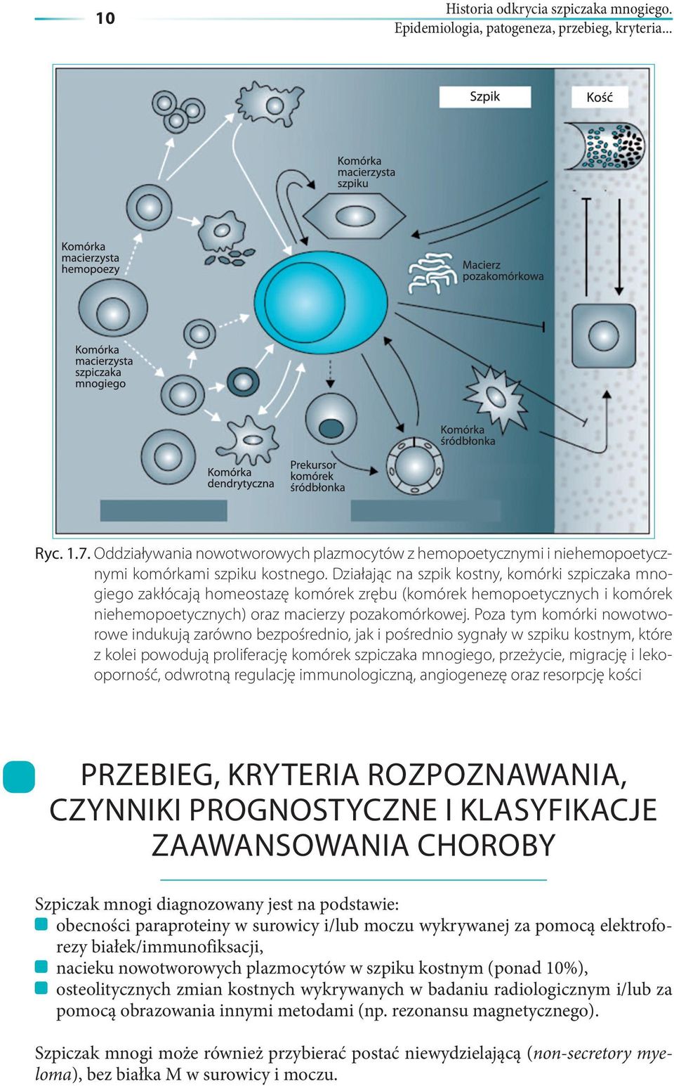 Działając na szpik kostny, komórki szpiczaka mnogiego zakłócają homeostazę komórek zrębu (komórek hemopoetycznych i komórek niehemopoetycznych) oraz macierzy pozakomórkowej.