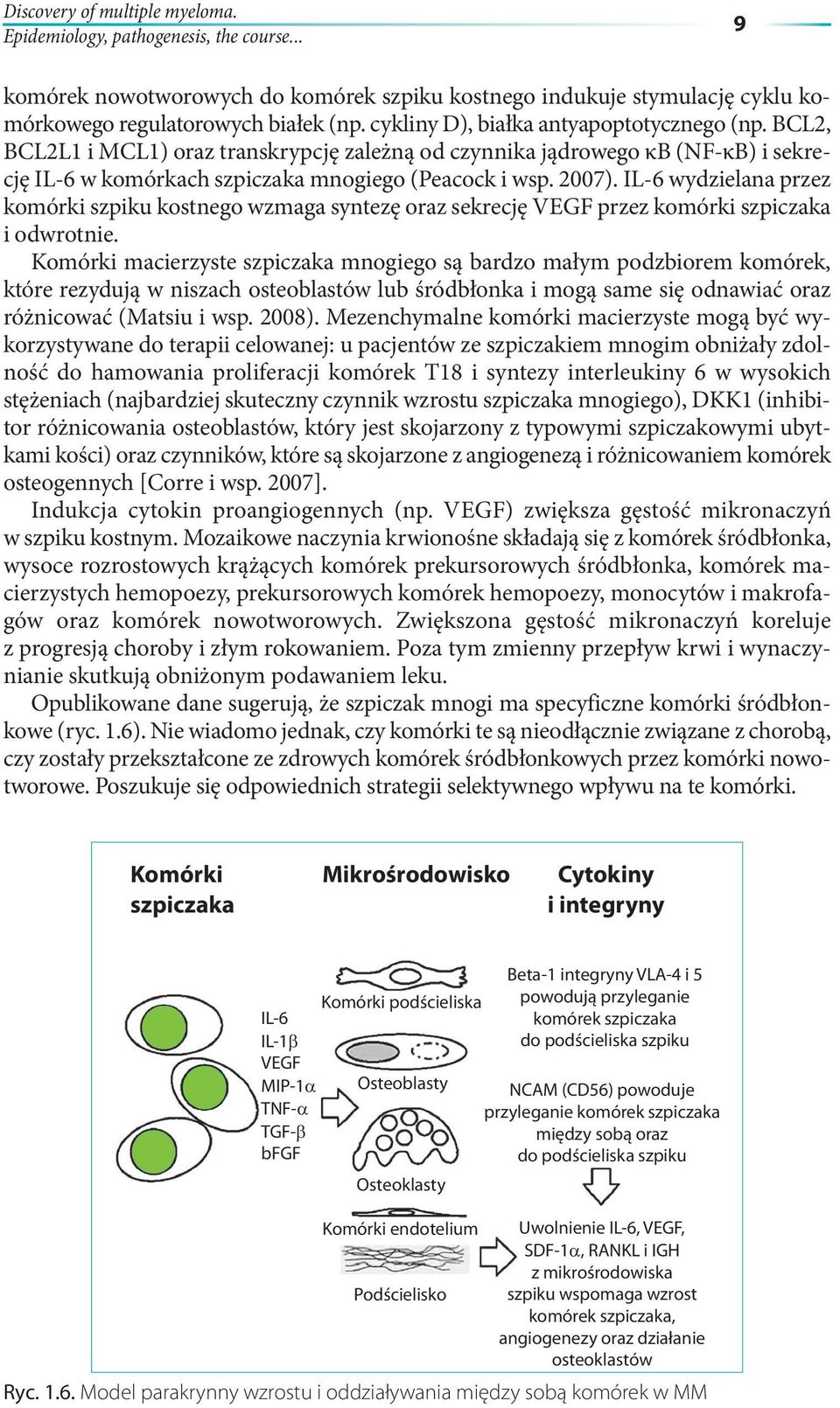 IL-6 wydzielana przez komórki szpiku kostnego wzmaga syntezę oraz sekrecję VEGF przez komórki szpiczaka i odwrotnie.