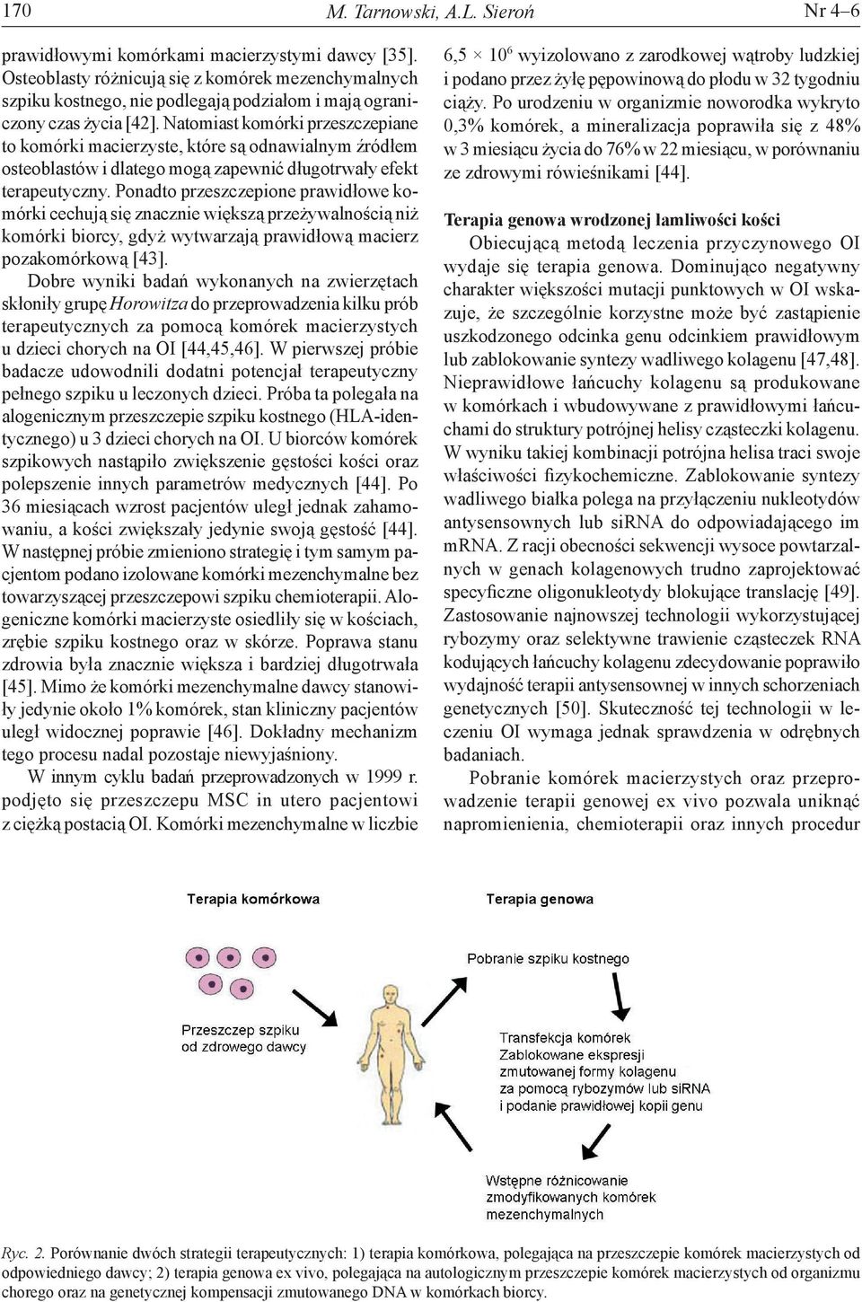 Natomiast komórki przeszczepiane to komórki macierzyste, które są odnawialnym źródłem osteoblastów i dlatego mogą zapewnić długotrwały efekt terapeutyczny.