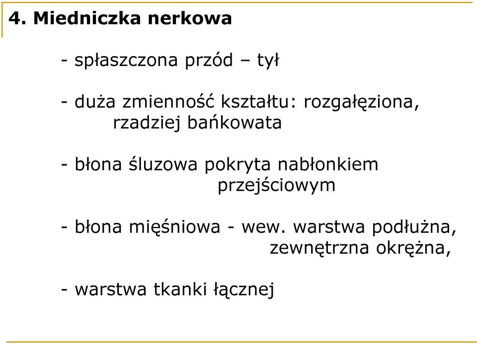 śluzowa pokryta nabłonkiem przejściowym - błona mięśniowa -