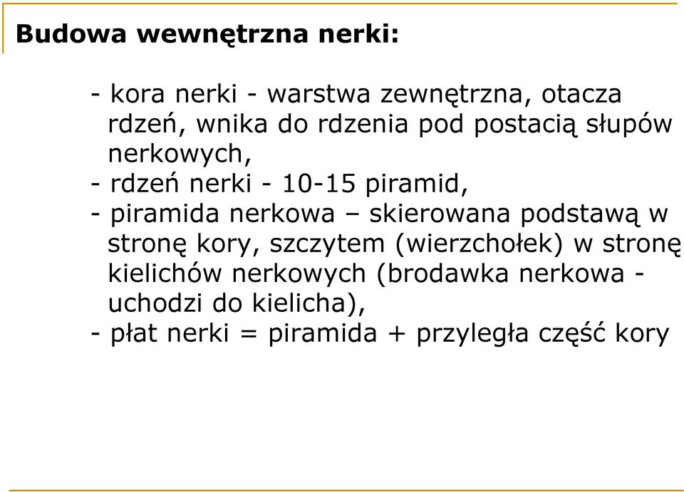 nerkowa skierowana podstawą w stronę kory, szczytem (wierzchołek) w stronę kielichów