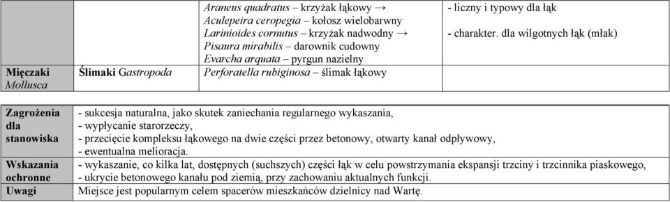dla wilgotnych łąk (młak) Zagrożenia dla stanowiska Wskazania ochronne Uwagi - sukcesja naturalna, jako skutek zaniechania regularnego wykaszania, - wypłycanie starorzeczy, - przecięcie kompleksu