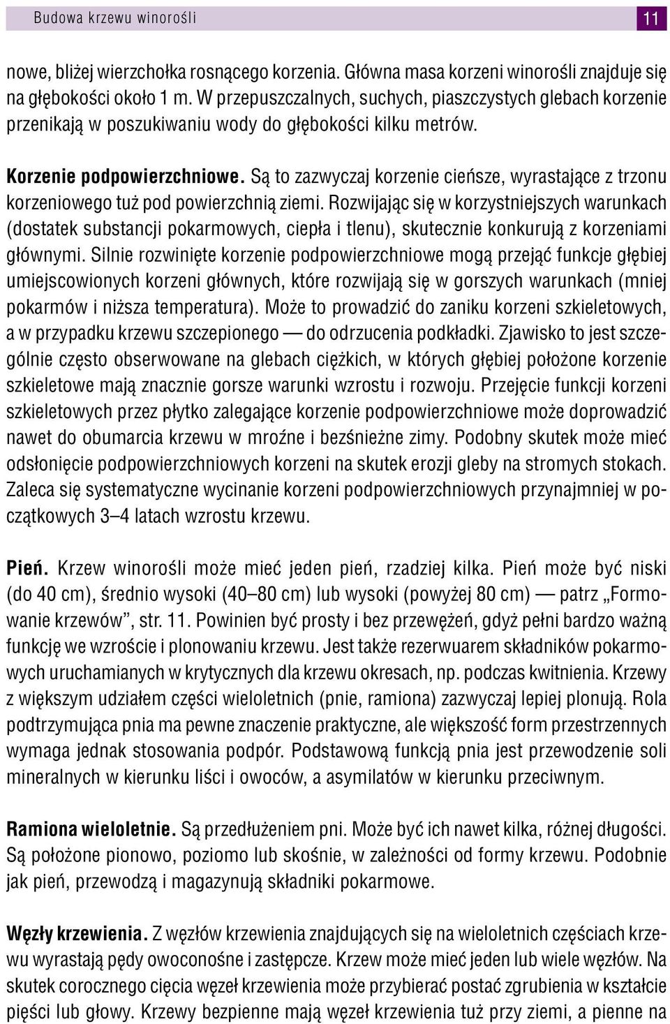 Są to zazwyczaj korzenie cieńsze, wyrastające z trzonu korzeniowego tuż pod powierzchnią ziemi.