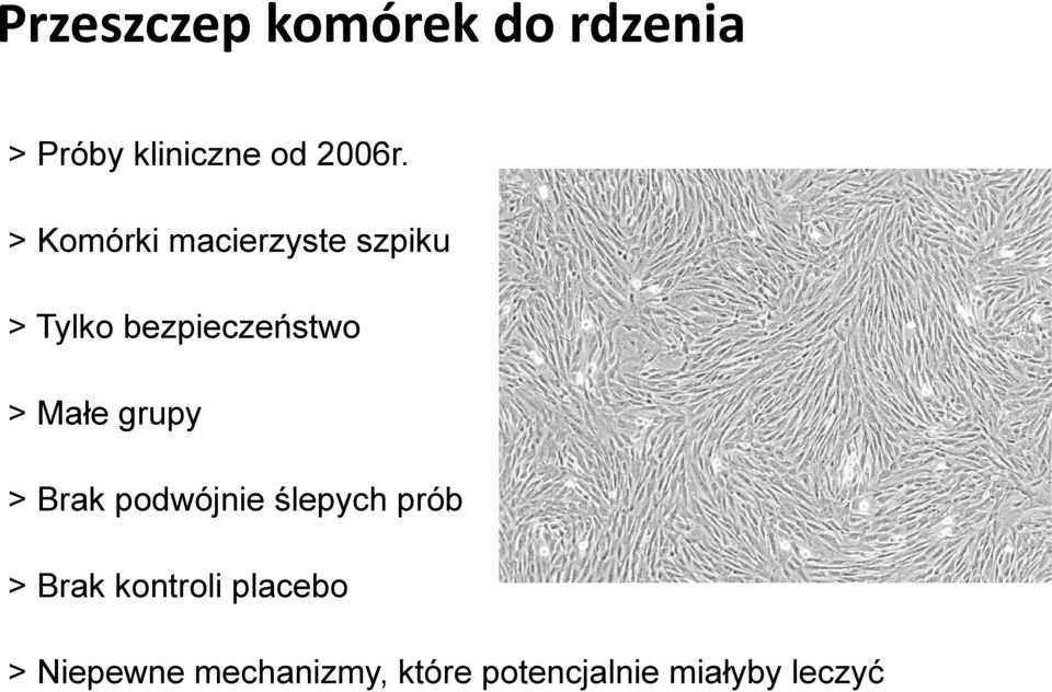 grupy > Brak podwójnie ślepych prób > Brak kontroli