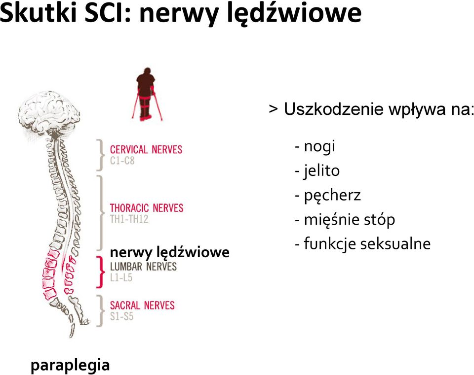 lędźwiowe paraplegia - nogi -