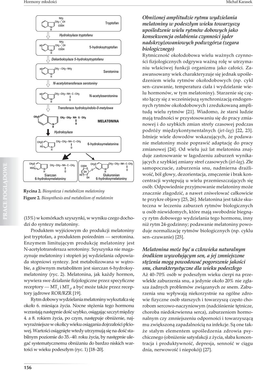 Szyszynka nie magazynuje melatoniny i stopień jej wydzielania odpowiada stopniowi syntezy. Jest metabolizowana w wątrobie, a głównym metabolitem jest siarczan 6-hydroksymelatoniny (ryc. 2).