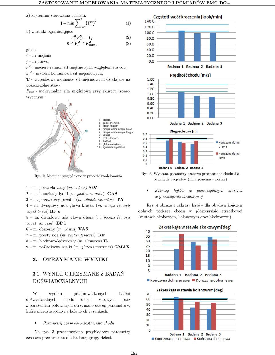 izometrycznym. () Rys.. Mięśnie uwzględnione w procesie modelowania m. płaszczkowaty (m. soleus) SOL m. brzuchaty łydki (m. gastrocnemius) GAS 3 m. piszczelowy przedni (m. tibialis anterior) TA 4 m.