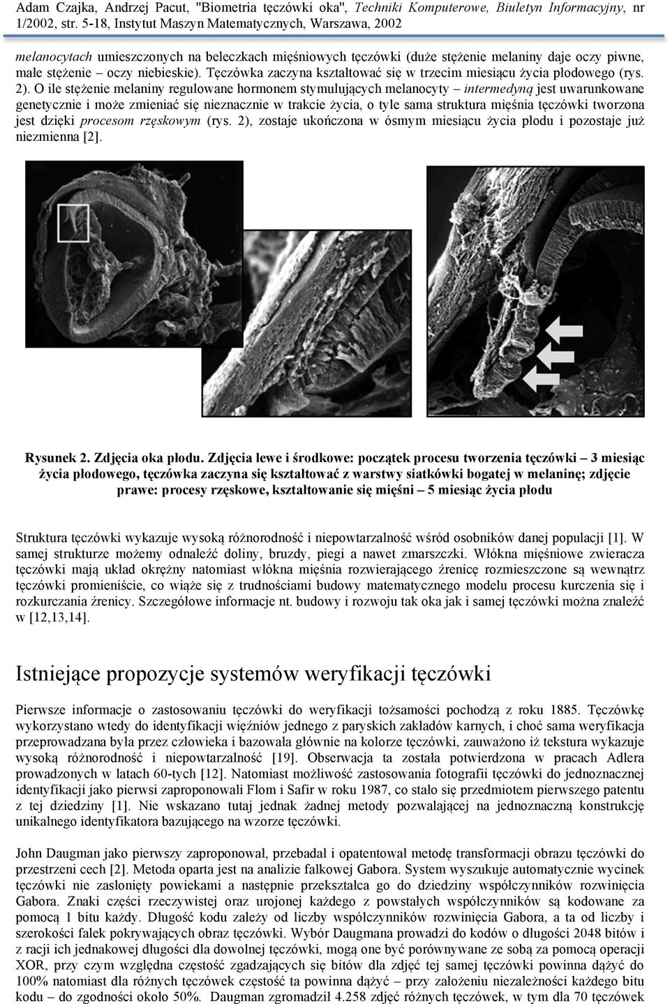 O ile stężenie melaniny regulowane hormonem stymulujących melanocyty intermedyną jest uwarunkowane genetycznie i może zmieniać się nieznacznie w trakcie życia, o tyle sama struktura mięśnia tęczówki