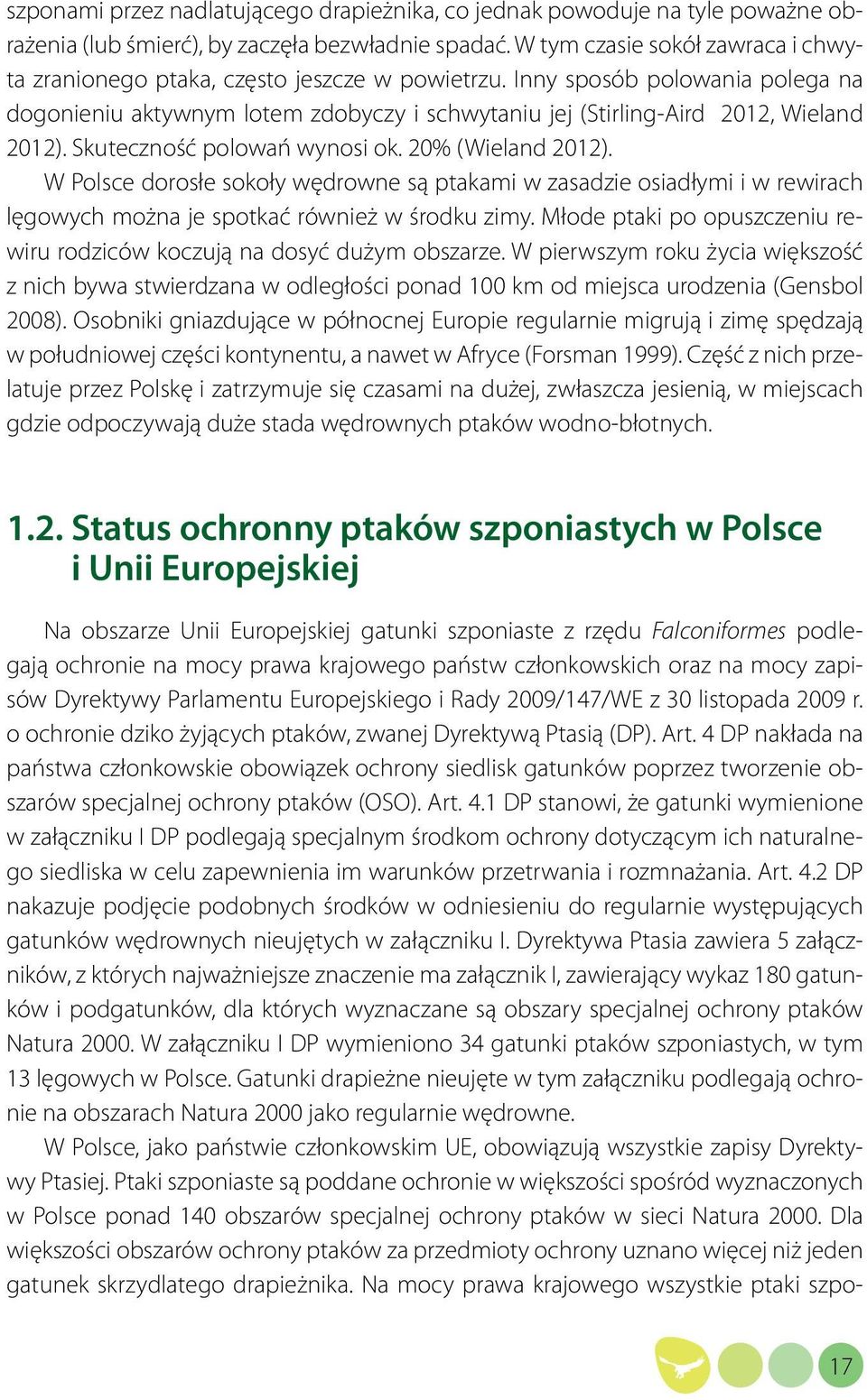 Inny sposób polowania polega na dogonieniu aktywnym lotem zdobyczy i schwytaniu jej (Stirling-Aird 2012, Wieland 2012). Skuteczność polowań wynosi ok. 20% (Wieland 2012).