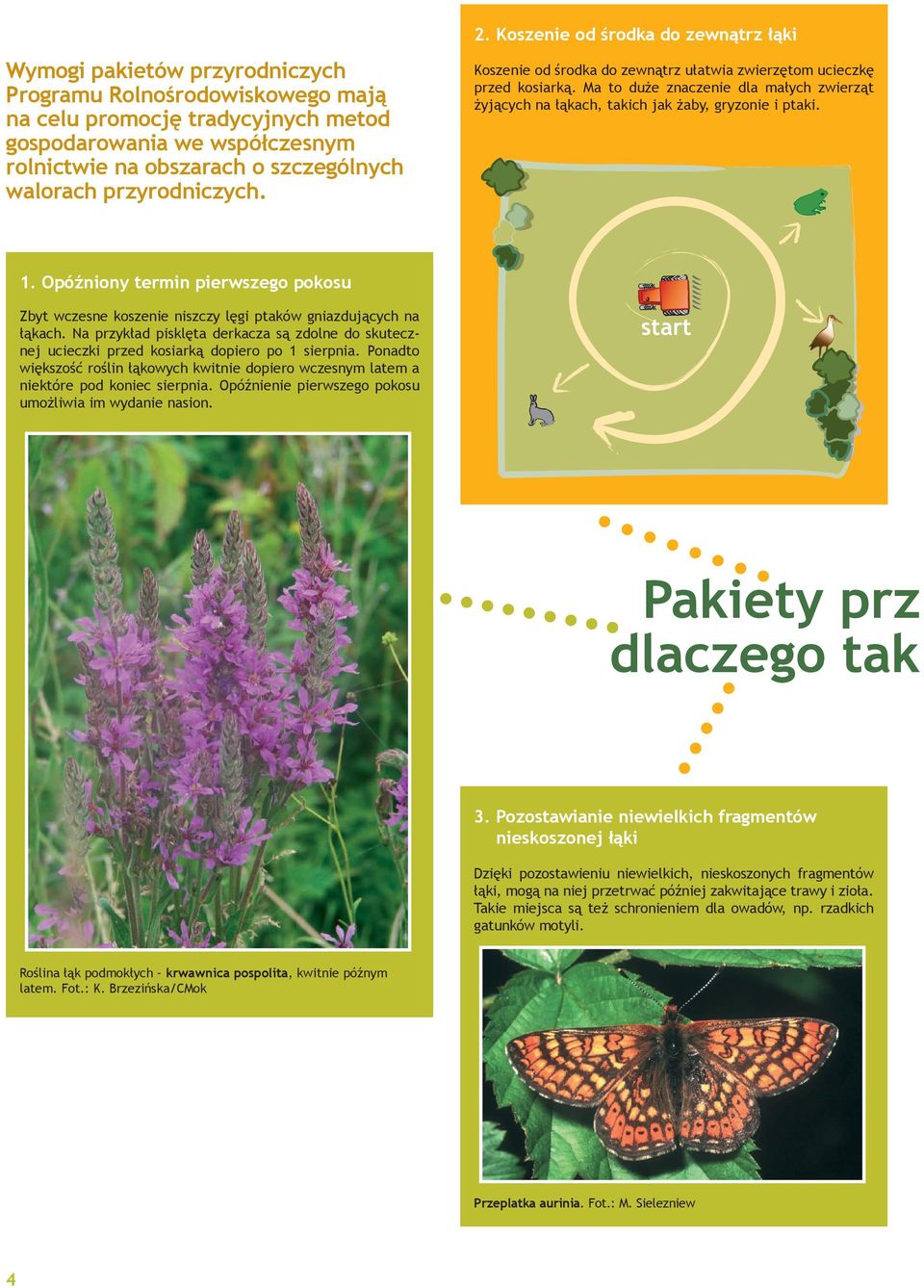 Ma to duże znaczenie dla małych zwierząt żyjących na łąkach, takich jak żaby, gryzonie i ptaki. 1. Opóźniony termin pierwszego pokosu Zbyt wczesne koszenie niszczy lęgi ptaków gniazdujących na łąkach.