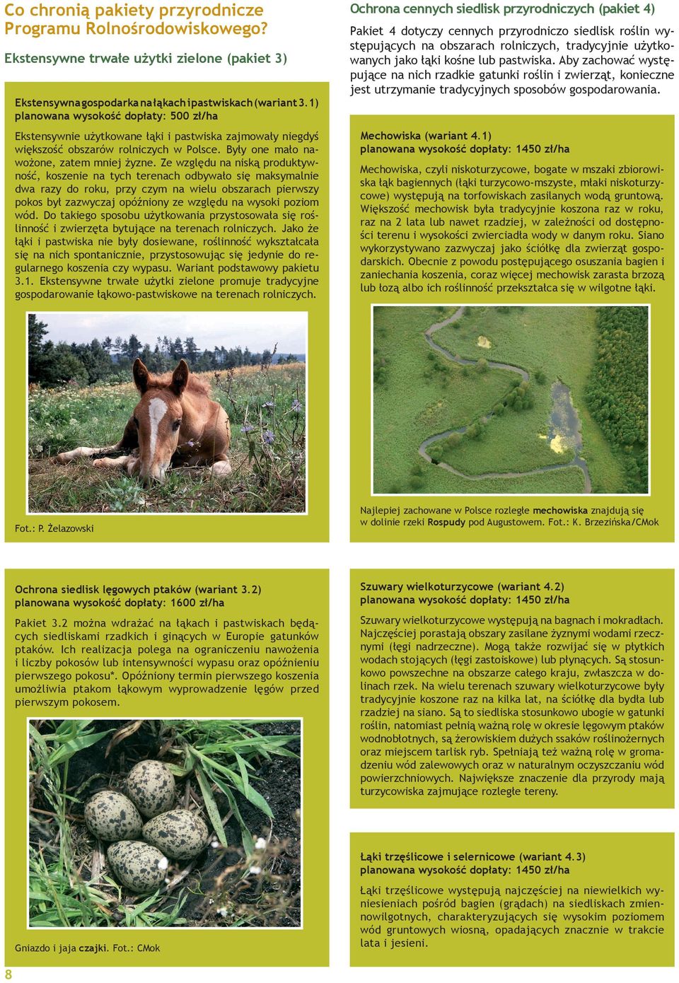 Ze względu na niską produktywność, koszenie na tych terenach odbywało się maksymalnie dwa razy do roku, przy czym na wielu obszarach pierwszy pokos był zazwyczaj opóźniony ze względu na wysoki poziom
