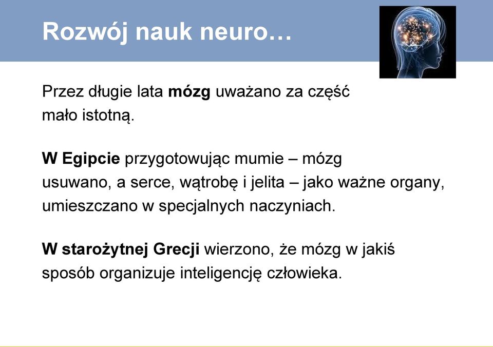 jako ważne organy, umieszczano w specjalnych naczyniach.