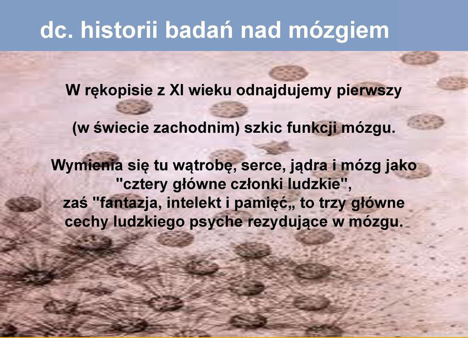 Wymienia Wymienia się się tu tu wątrobę, wątrobę, serce, serce, jądra jądra i mózg i mózg jako jako "cztery główne "cztery członki