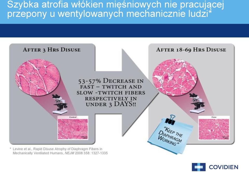 Levine et al.