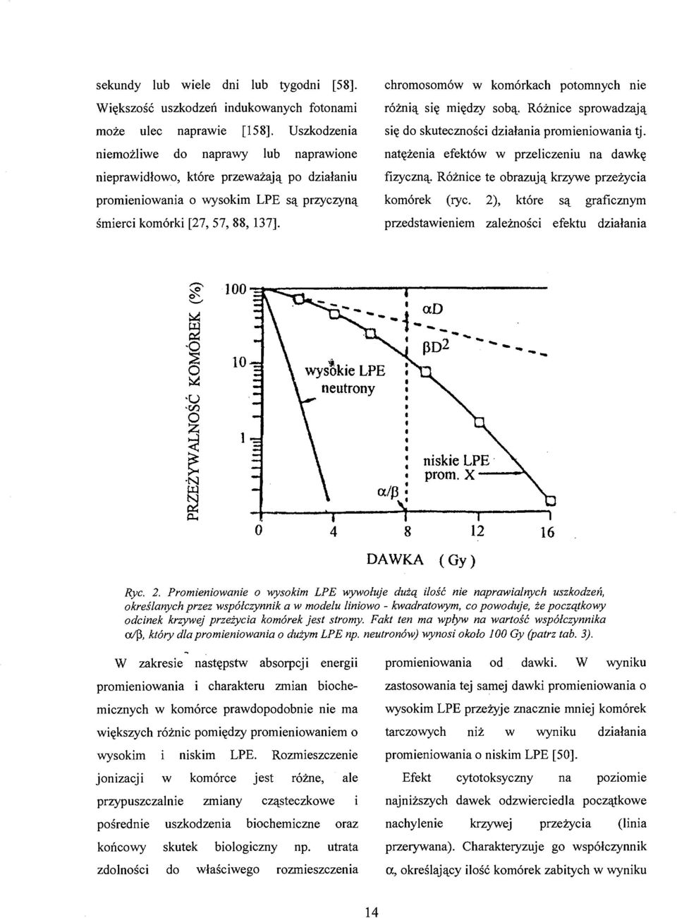 przyczyną śmierci komórki [27, 57, 88, 137]. chromosomów w komórkach potomnych nie różnią się między sobą. Różnice sprowadzają się do skuteczności działania promieniowania tj.