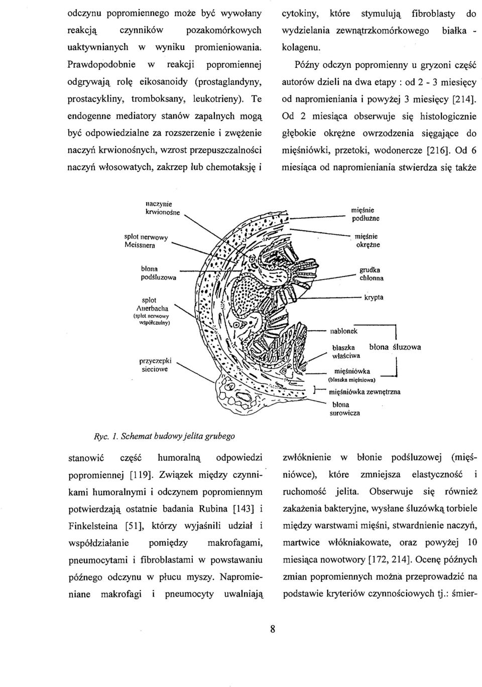 Te endogenne mediatory stanów zapalnych mogą być odpowiedzialne za rozszerzenie i zwężenie naczyń krwionośnych, wzrost przepuszczalności naczyń włosowatych, zakrzep lub chemotaksję i cytokiny, które