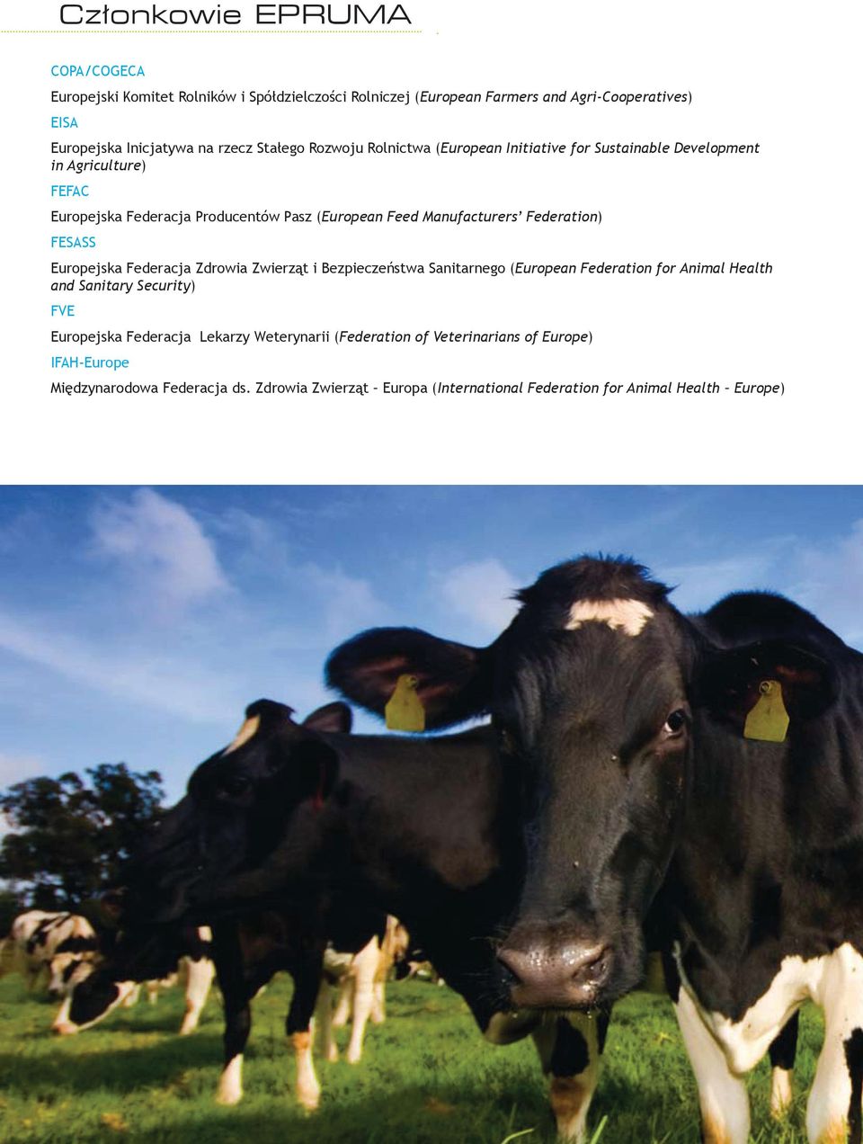 Federation) FESASS Europejska Federacja Zdrowia Zwierząt i Bezpieczeństwa Sanitarnego (European Federation for Animal Health and Sanitary Security) FVE Europejska