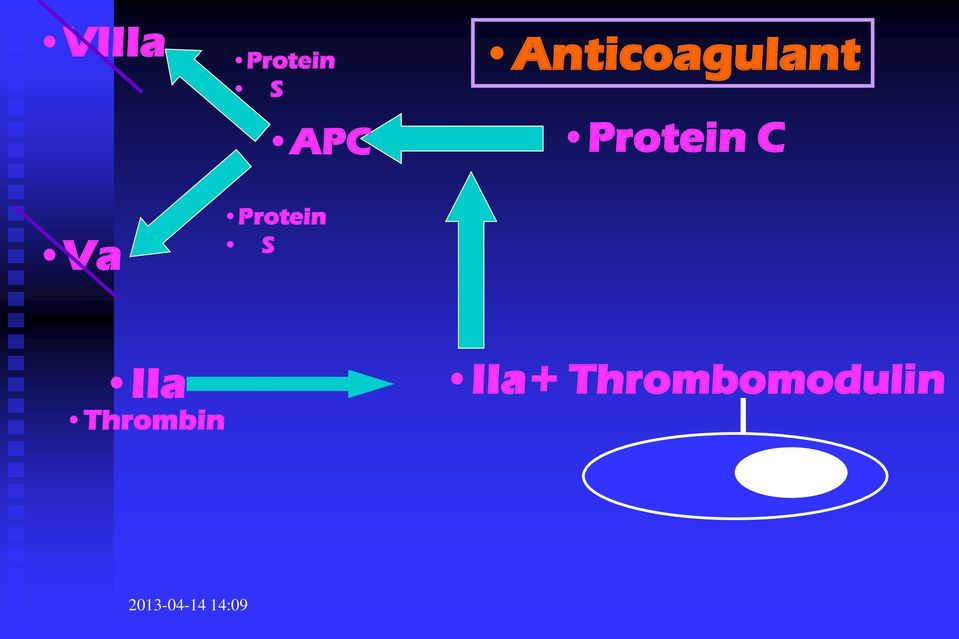 Anticoagulant Protein