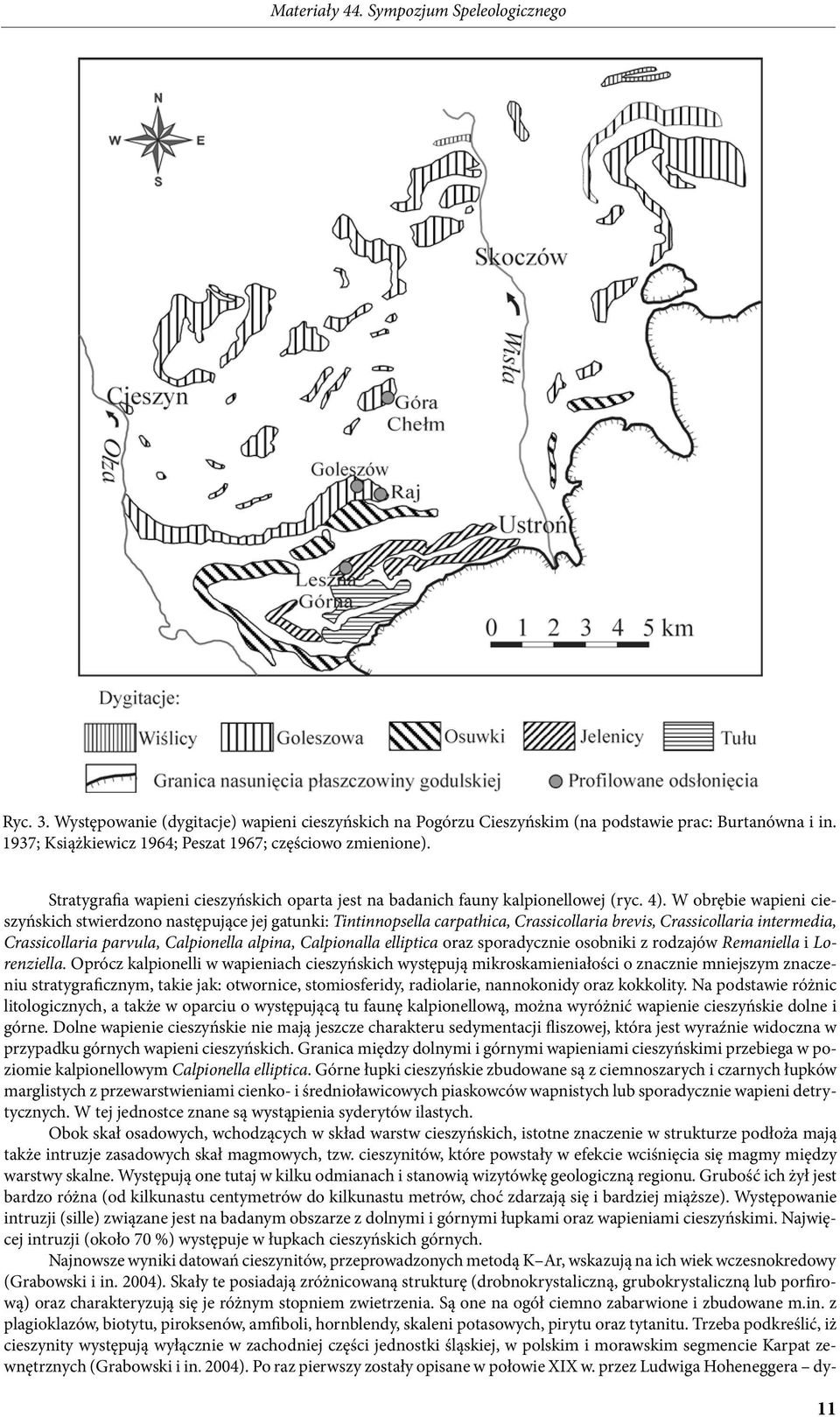 W obrębie wapieni cieszyńskich stwierdzono następujące jej gatunki: Tintinnopsella carpathica, Crassicollaria brevis, Crassicollaria intermedia, Crassicollaria parvula, Calpionella alpina,