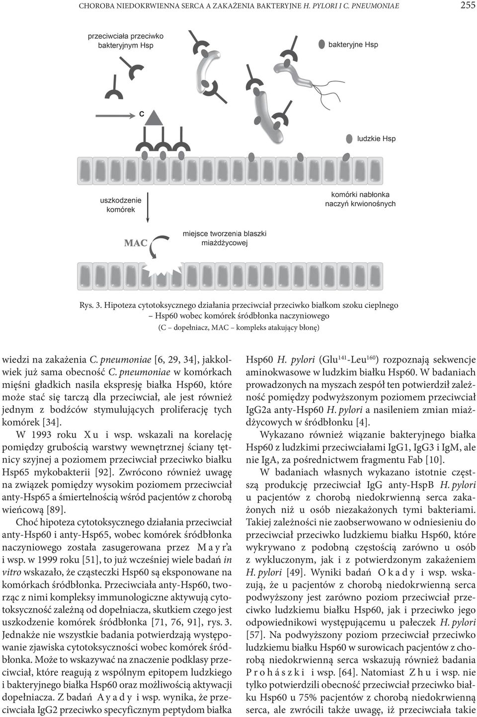pneumoniae [6, 29, 34], jakkolwiek już sama obecność C.