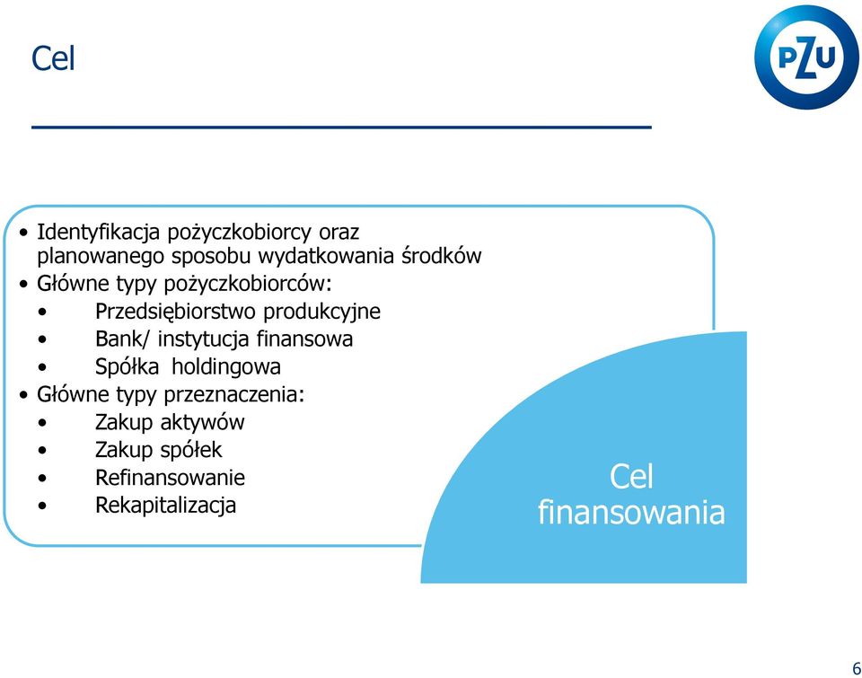 instytucja finansowa Spółka holdingowa Główne typy przeznaczenia: Zakup