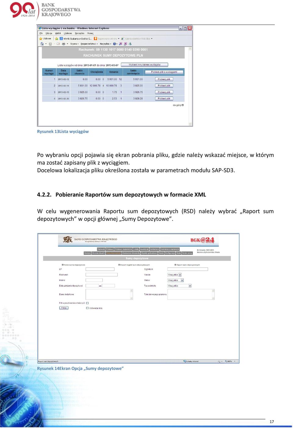Docelowa lokalizacja pliku określona została w parametrach modułu SAP-SD3. 4.2.