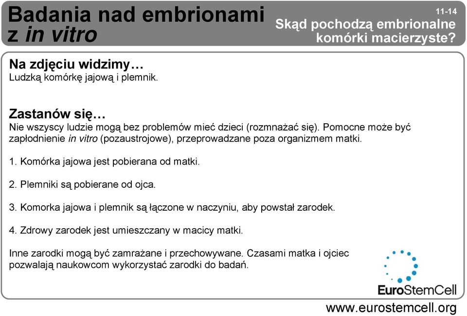 Pomocne może być zapłodnienie in vitro (pozaustrojowe), przeprowadzane poza organizmem matki. 1. Komórka jajowa jest pobierana od matki. 2.