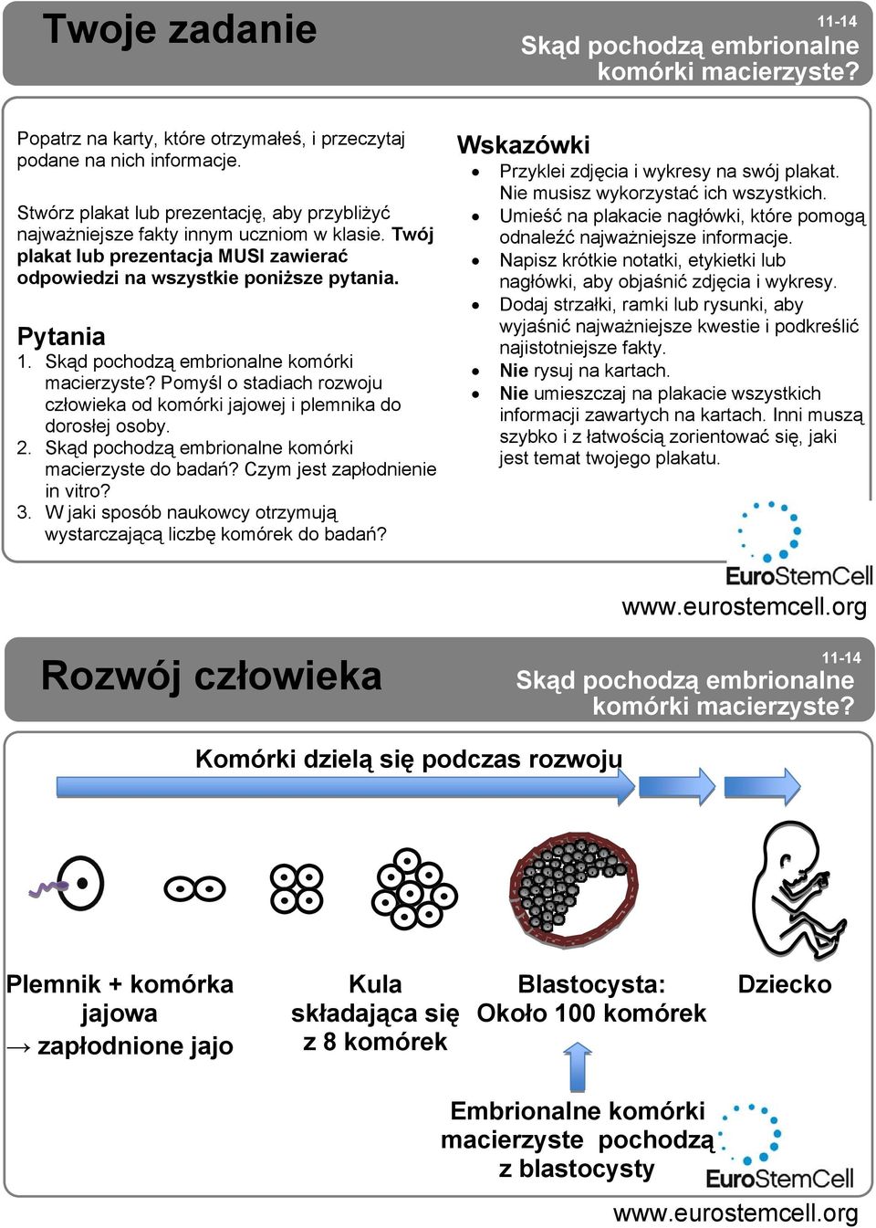 Skąd pochodzą embrionalne komórki macierzyste? Pomyśl o stadiach rozwoju człowieka od komórki jajowej i plemnika do dorosłej osoby. 2. Skąd pochodzą embrionalne komórki macierzyste do badań?