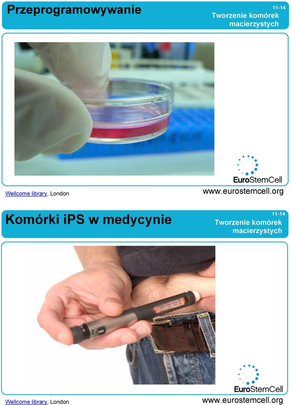 Komórki ips w medycynie