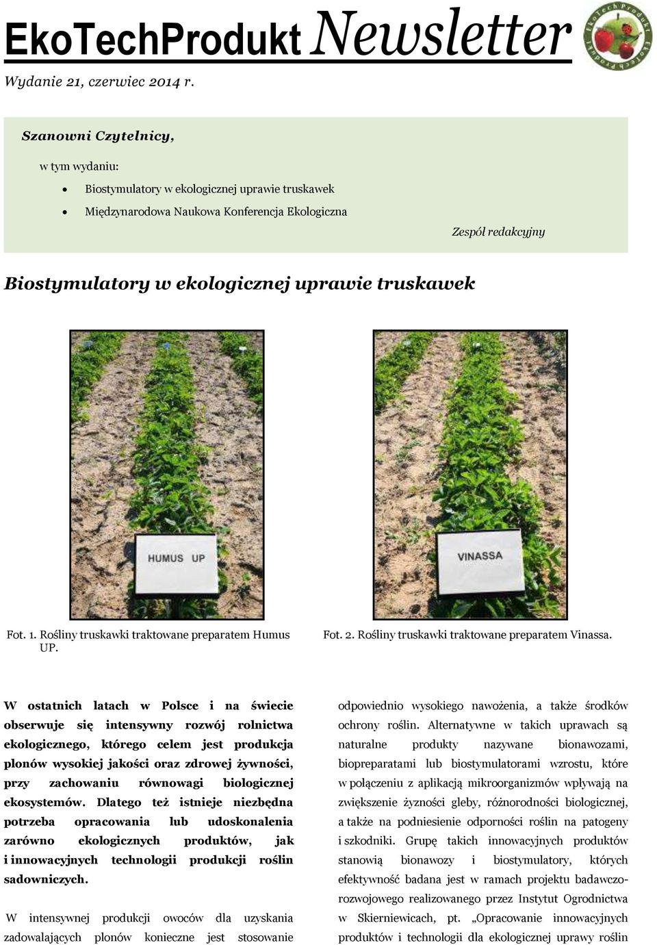 Fot. 1. Rośliny truskawki traktowane preparatem Humus UP. Fot. 2. Rośliny truskawki traktowane preparatem Vinassa.