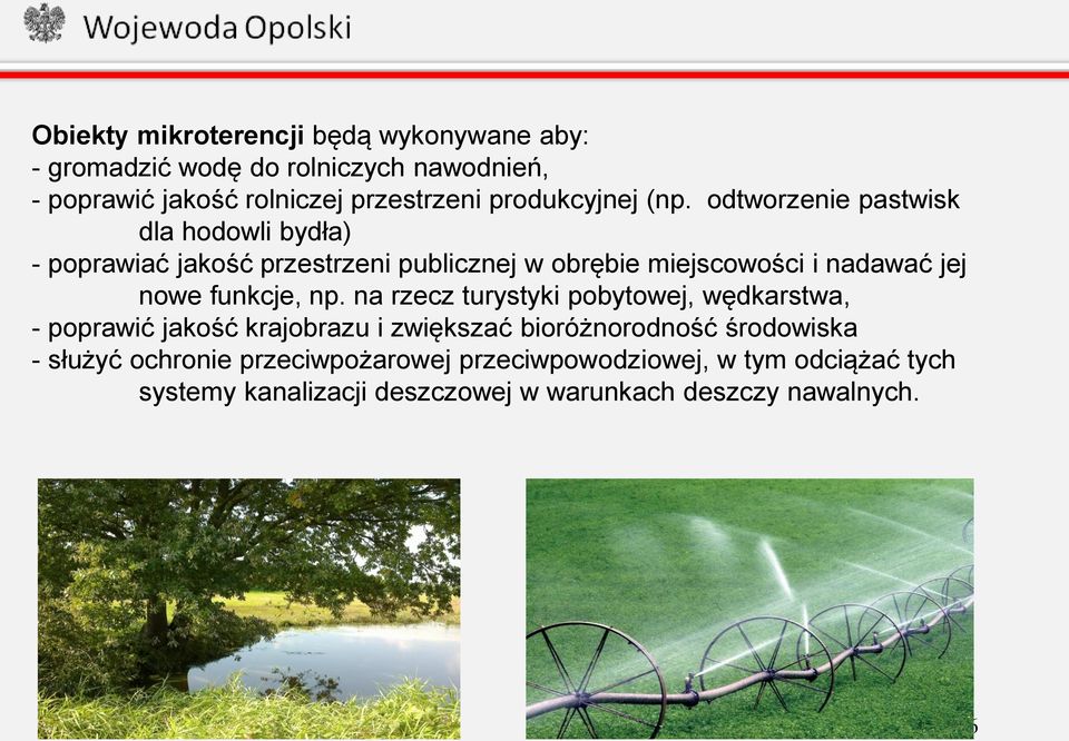 odtworzenie pastwisk dla hodowli bydła) - poprawiać jakość przestrzeni publicznej w obrębie miejscowości i nadawać jej nowe