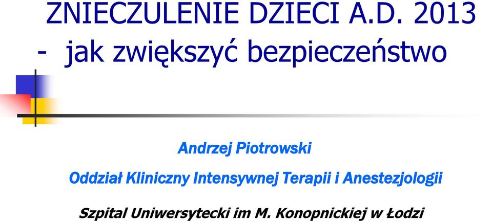 2013 - jak zwiększyć bezpieczeństwo Andrzej